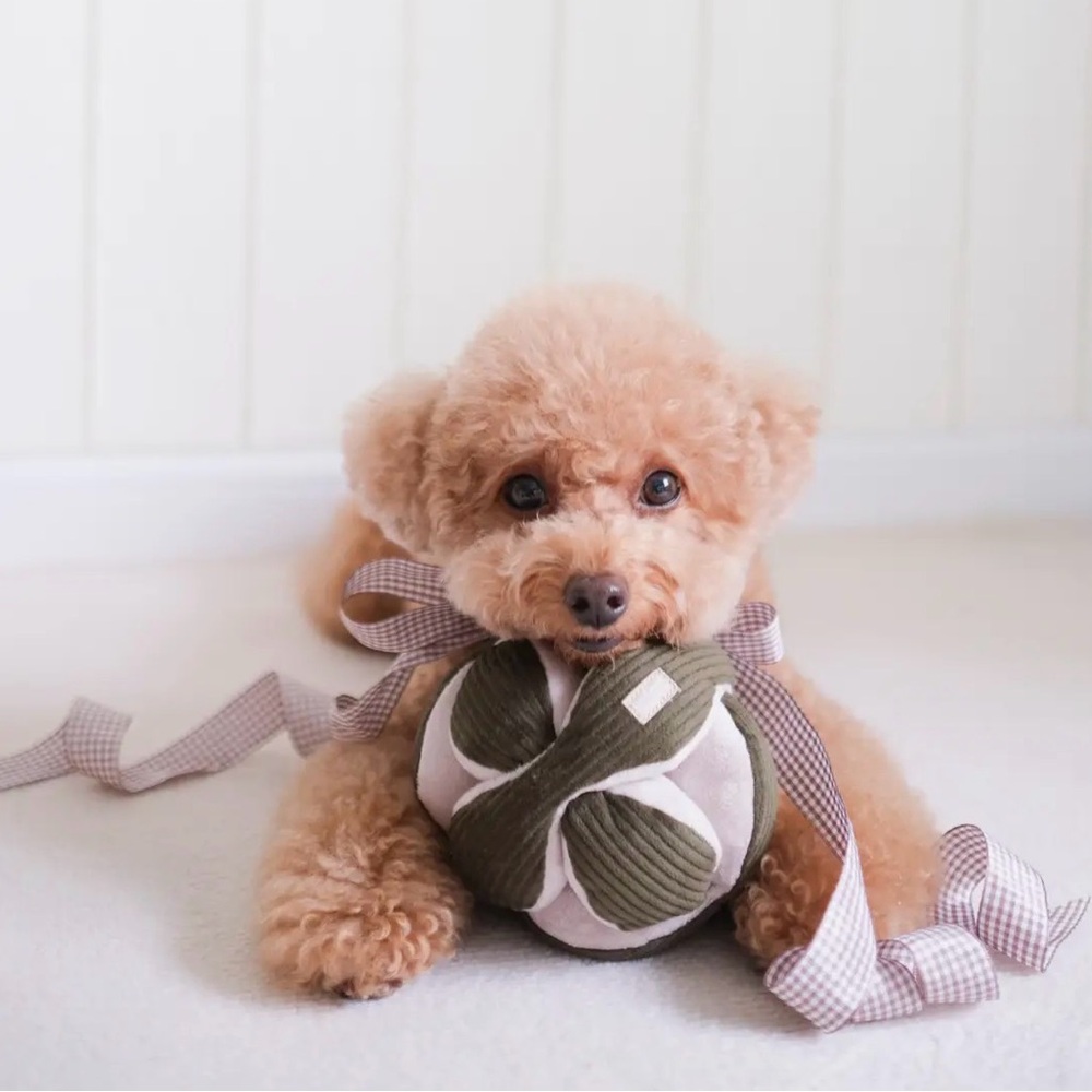 Mint Green The Monti Enrinchment Dog Toy NWT - Picture 4 of 8